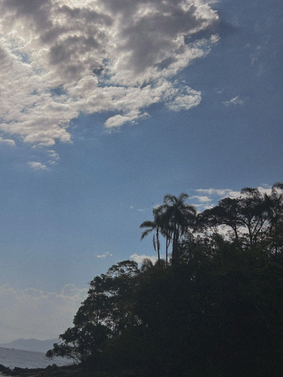 Brasil bonito🦜🤍