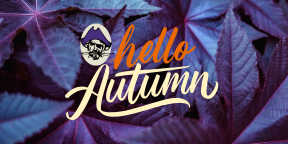 Merrillville Community School Corporation tweet media