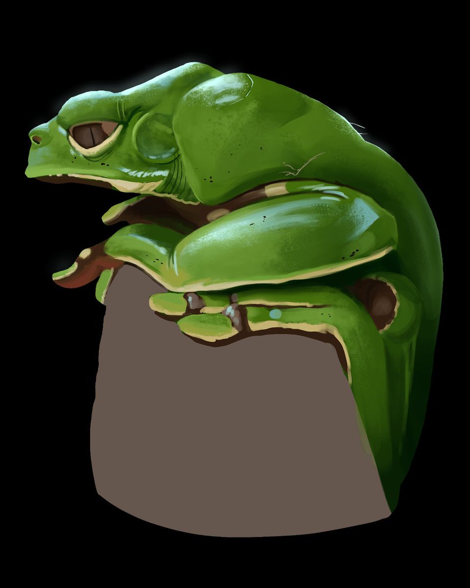 Frog study