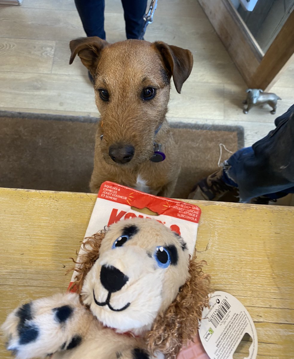 BeMoreBob tweet media