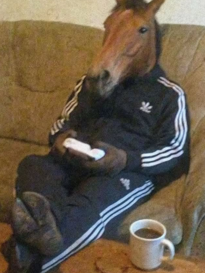 FraudTimer's tweet image. So meine lieben Freunde!

Wir begeben uns diesmal wirklich in das Minecraft ALG I Projekt (Adventure, Life, Geld)! Gestrandet auf einer einsamen Insel versuchen 3 tapfere Recken um ihr überleben zu kämpfen! Schaltet ein ^^

twitch.tv/fraudtime