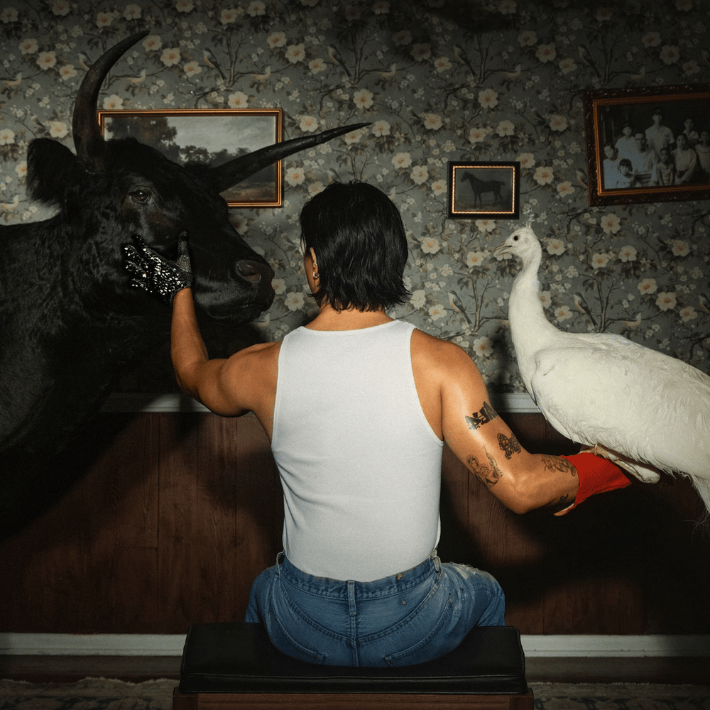 1—by—1 tweet media