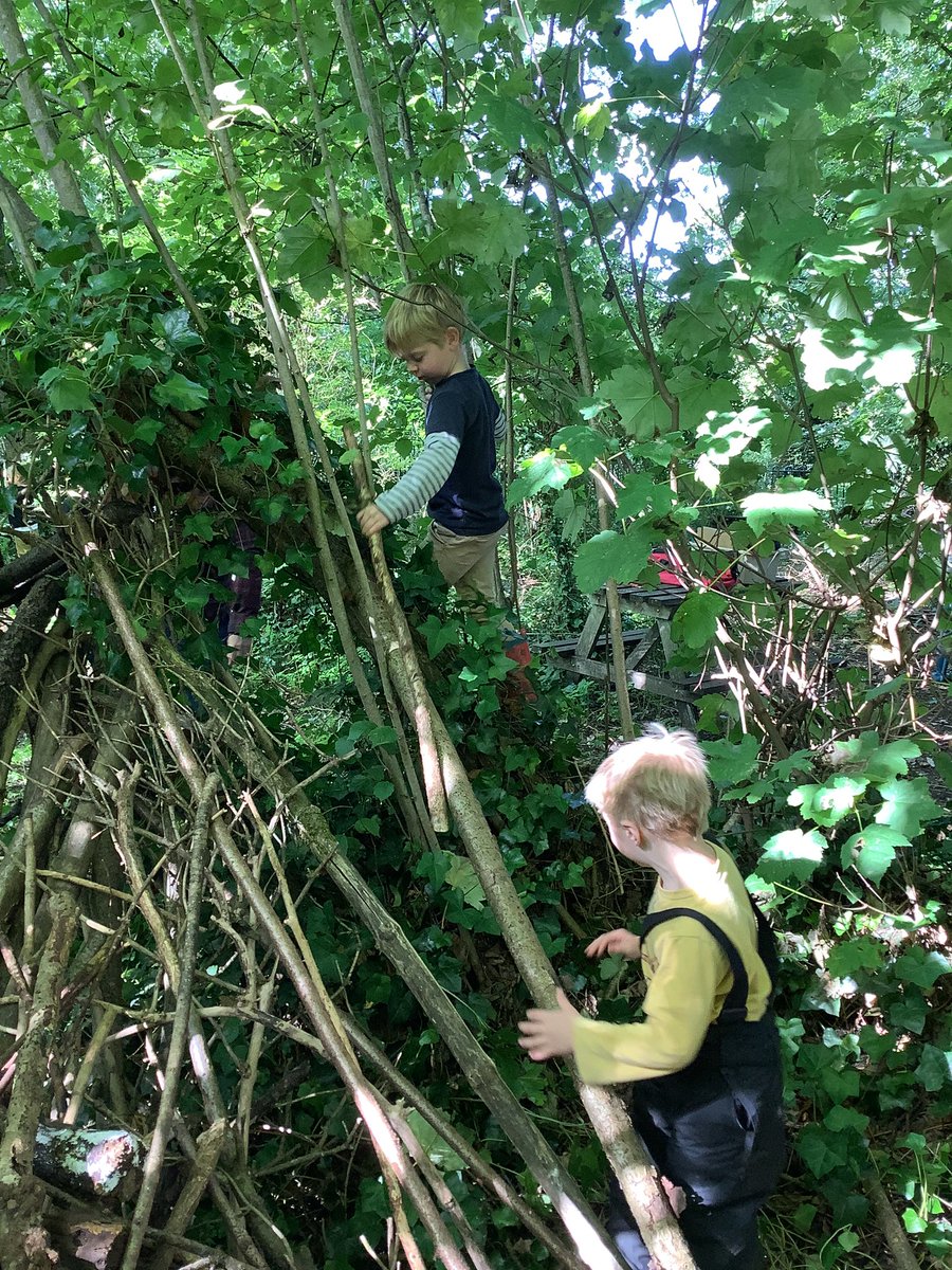 SAPSRedSquirrel's tweet photo. Red Squirrels loved their first Forest School session today. They enjoyed climbing trees, the swing, building dens and digging in the mud kitchen. https://t.co/iI0zsxSDOW