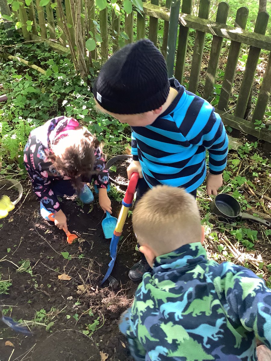SAPSRedSquirrel's tweet photo. Red Squirrels loved their first Forest School session today. They enjoyed climbing trees, the swing, building dens and digging in the mud kitchen. https://t.co/iI0zsxSDOW