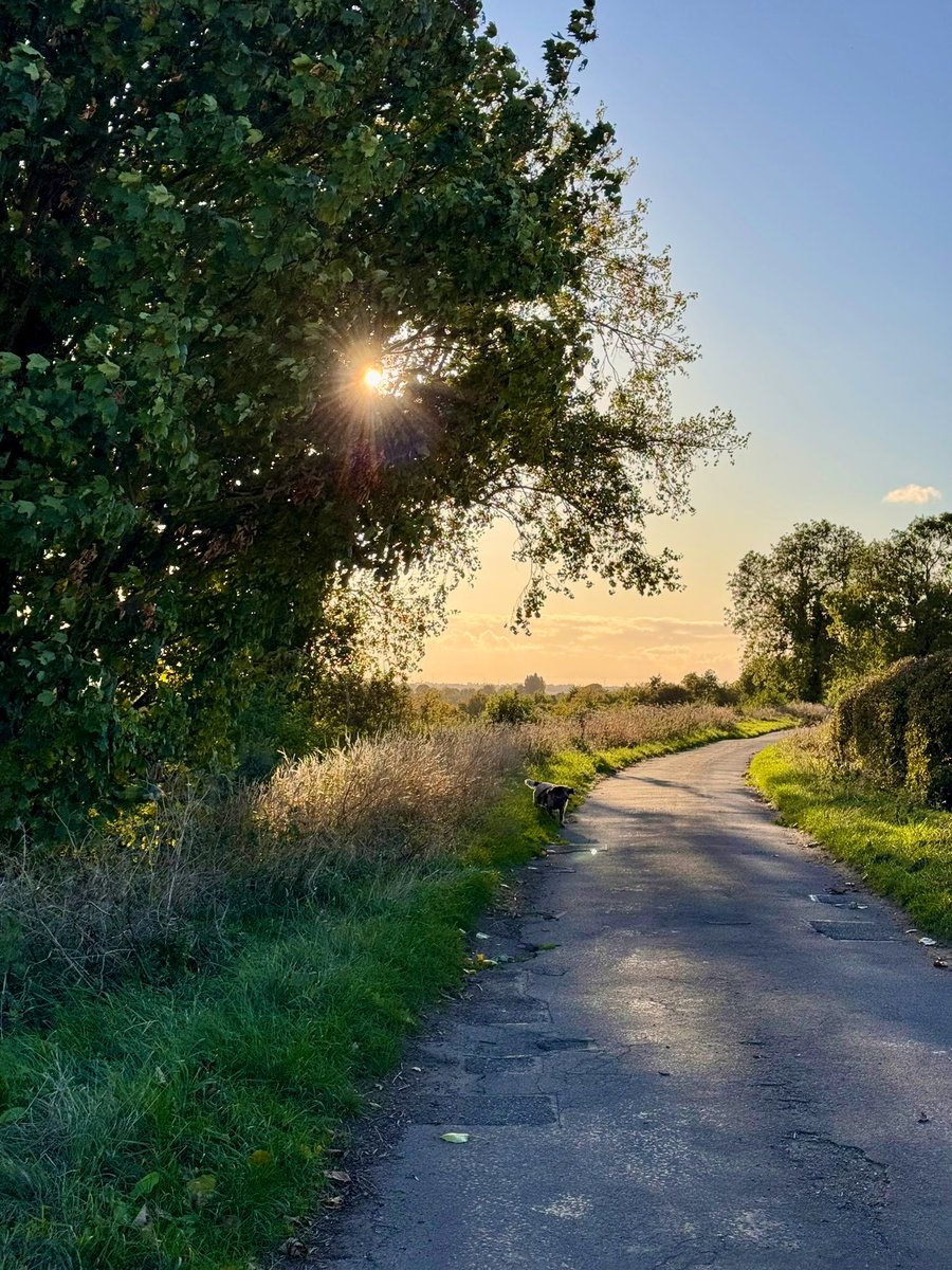 Happy autumn equinox 🍂
