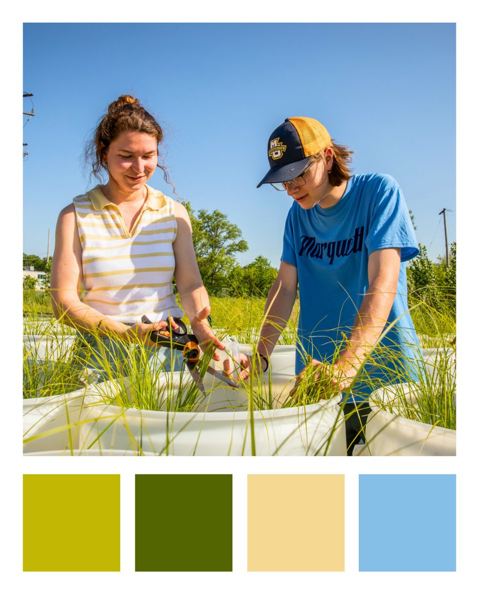 Our engineering color palette 🎨