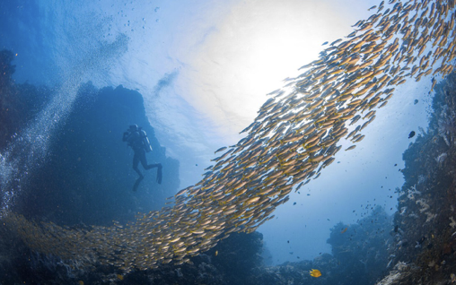 The world’s oceans present not just sustainability issues but also material financial risk for businesses. What do corporates need to do about their ocean impact? bit.ly/4mNpb6x