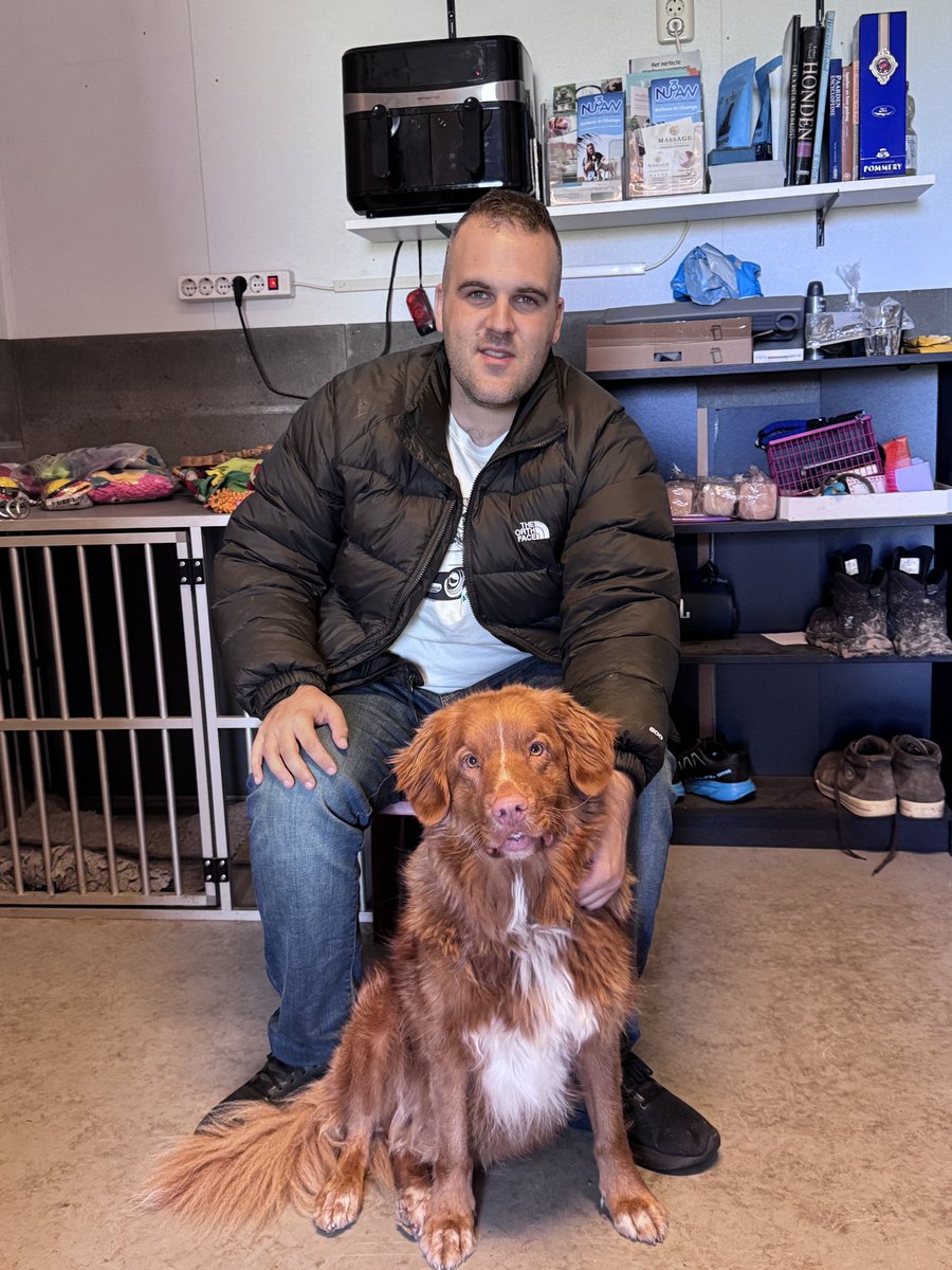 Drewebein009's tweet image. Meet my new wingman Hunter from my friend Kelle’s kennel club 😂 🇳🇱 also my new hinge/tinder pic 🤣. Netherlands has been great.  #Eurotrip #Doggo