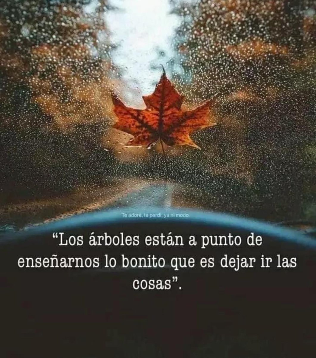 Jorge Salar Martinez tweet media