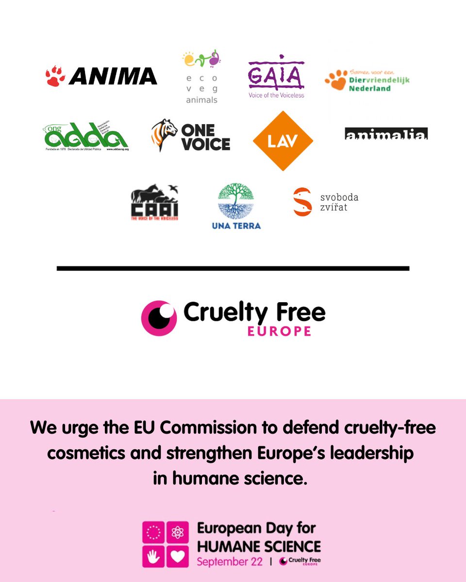 CrueltyFreeEU's tweet image. The European Union’s cosmetics animal testing bans saved animals and drove innovation. But loopholes are undermining that promise.

We urge the @EU_Commission to defend cruelty free cosmetics and strengthen Europe’s leadership in humane science. #EuropeanDayForHumaneScience