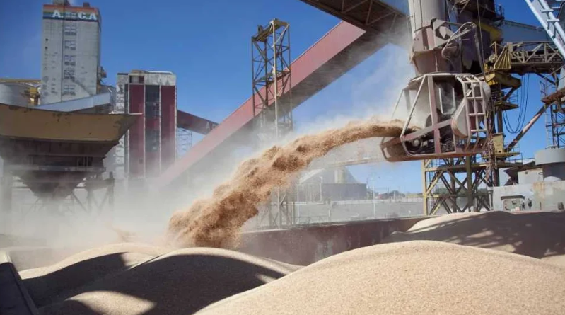 El Gobierno elimina retenciones a los granos hasta el 31 de octubre

sectorprensa.com.ar/?p=75943