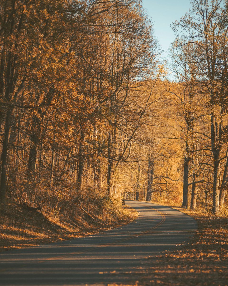 The first day of fall is nature’s way of telling you to take the scenic route.

Pack your sweater, fill your mug, and let us guide your autumn adventures this season.

The GPS gets you there. Autio tells you why it’s worth the drive. 🍁

#AutioApp #FallTravel #FirstDayofFall