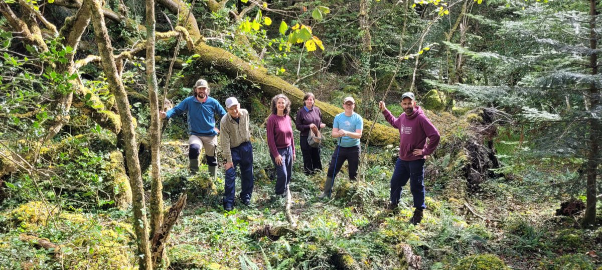 NativeWoodTrust's tweet image. 🍂 Autumn Equinox 🌳
#SquirrelSquadrons from our local branches across the country are busily collecting seeds in Ireland's oldest woodlands. Over the weekend, our Galway branch visited our newest nature reserve, Coill Sheanadh Gharráin🌳