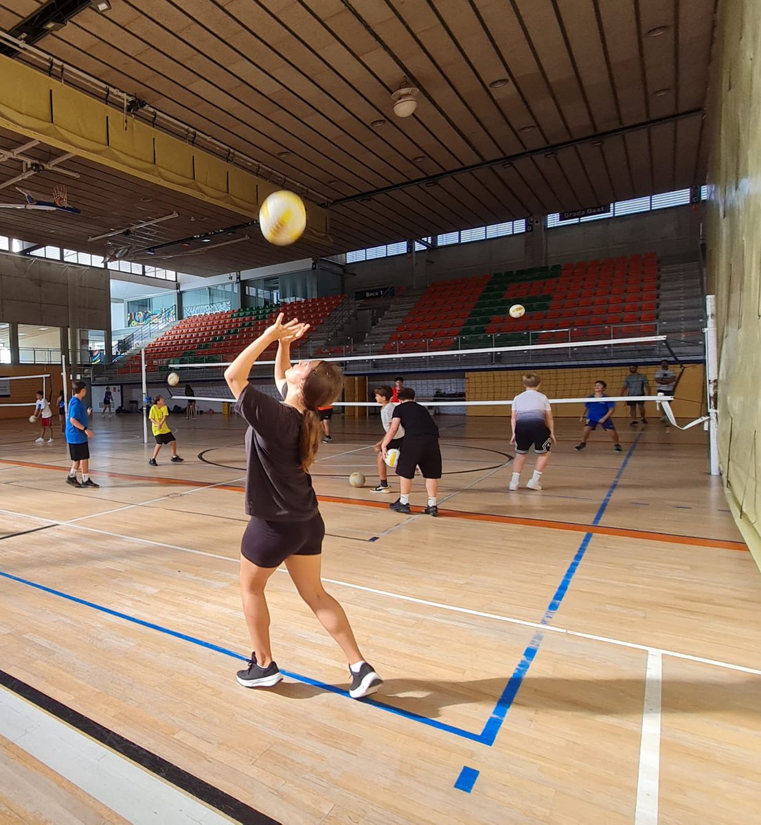 Institut Ramon de la Torre tweet media