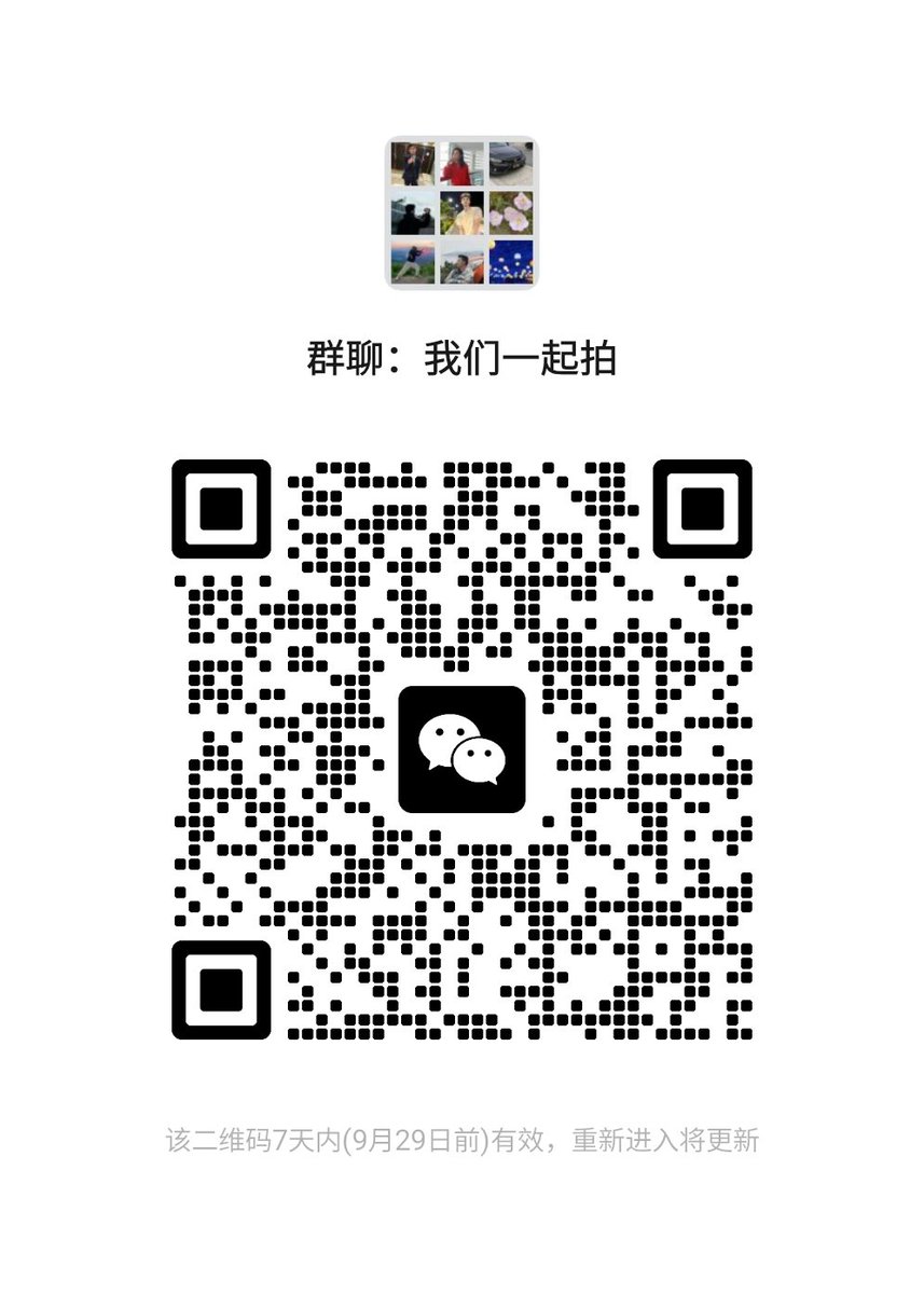 TP群，懂得在加，有作品的在加，别想着白嫖，会被送飞机票的