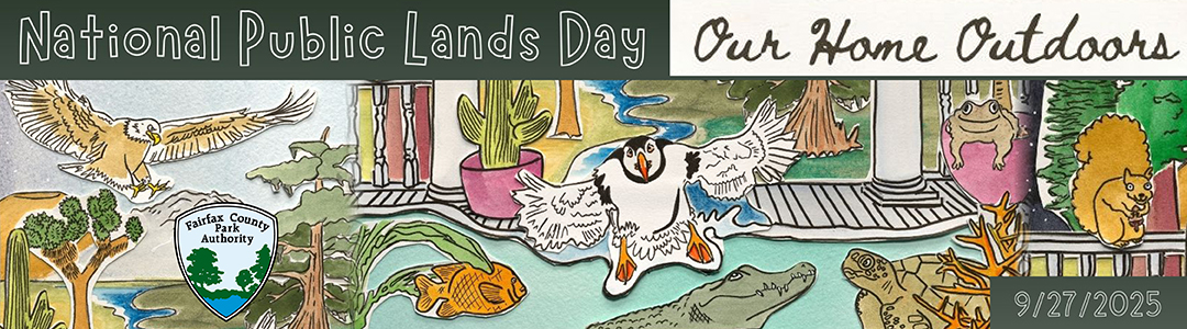 🌳 Let's roll up our sleeves and get our hands dirty for #PublicLands! Join <a href="/fairfaxparks/">Fairfax County Parks</a> on Saturday, Sept. 27 for #NationalPublicLandsDay 

We'll be planting trees, cleaning up trails, and celebrating all things green. 🌿 

Sign up to volunteer: bit.ly/45INU3C?utm_so…