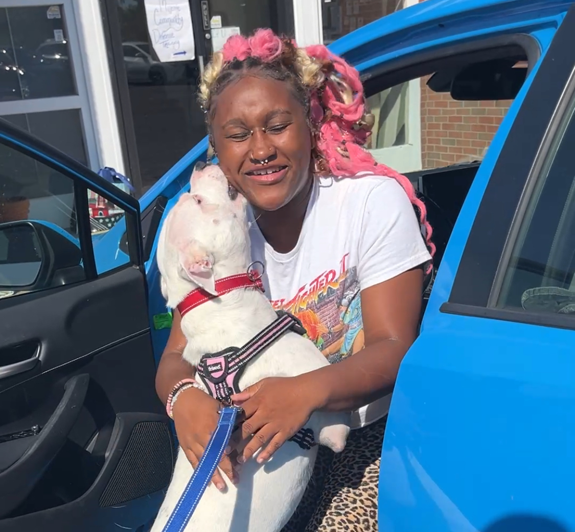 Check out Pawster's September Story: Iceianna Goes Home - mailchi.mp/pawsternashvil…