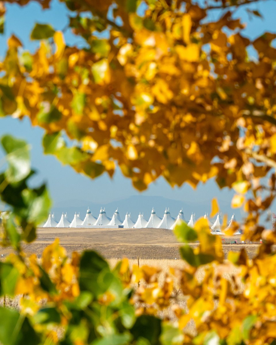 DENAirport's tweet image. Makes us want to go leaf peepin&apos; real bad. 🍂 
#HelloFall