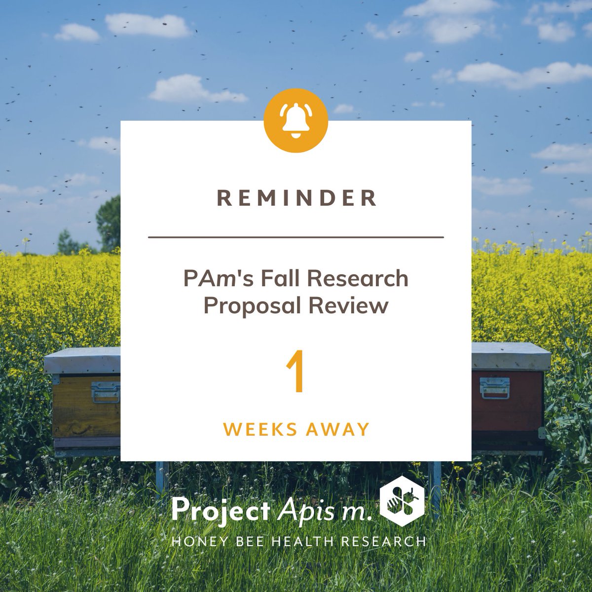 ProjectApism's tweet image. ⏳ 1 week left! Project 𝘈𝘱𝘪𝘴 𝘮. accepts research proposals all year but our next review cycle is coming up: Oct 1, 2025. Send in your proposals to advance honey bee health &amp;amp; productivity.

🔗 projectapism.org/apply-for-fund…

#HoneyBeeHealth #PollinatorResearch #ProjectApisM
