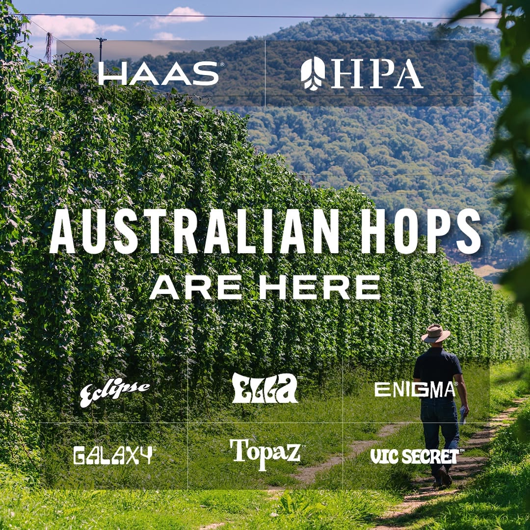 CraftBeerBrew's tweet image. Hops from Australia's 2025 harvest are now available in the U.S. exclusively from Haas.

Learn more at johnihaas.com/australian-hops or buy now at shop.johnihaas.com

#ad #aussiehops #aussiehopharvest #craftbeer #brewing #fortheloveofhops