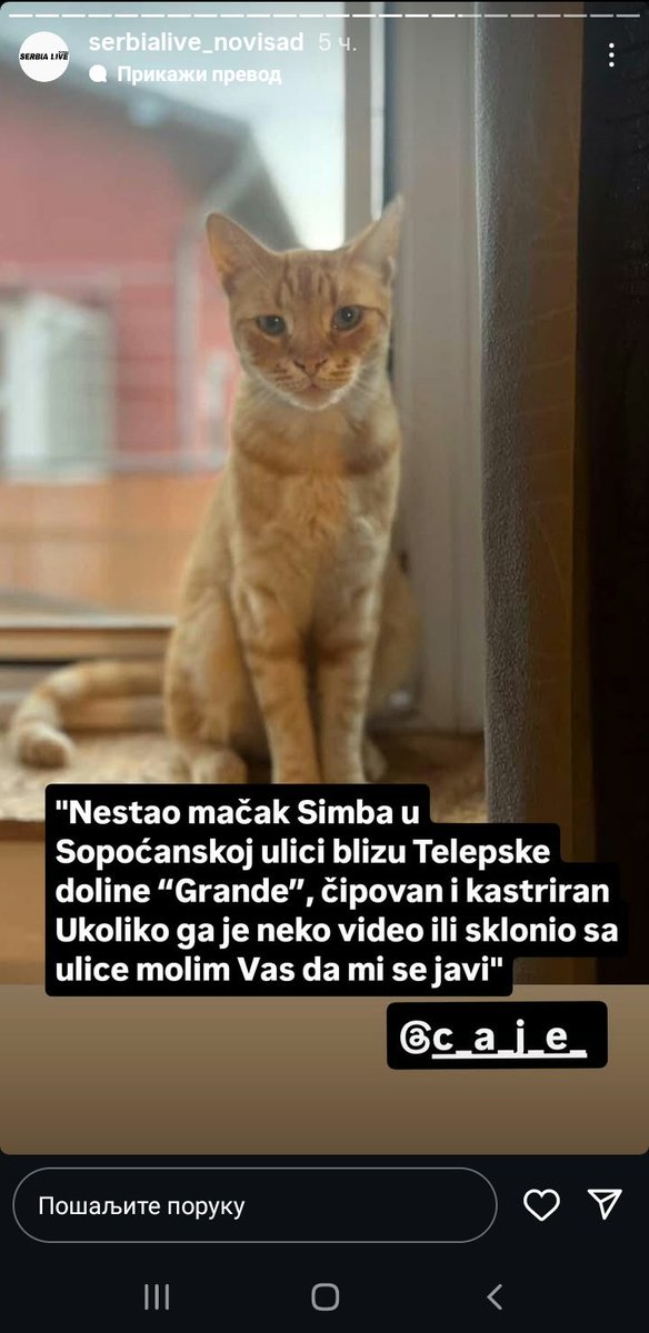 Pika_Rozi_Chu's tweet photo. #tagživota #caosvima #emilijamilojević https://t.co/o17u4fn9hm