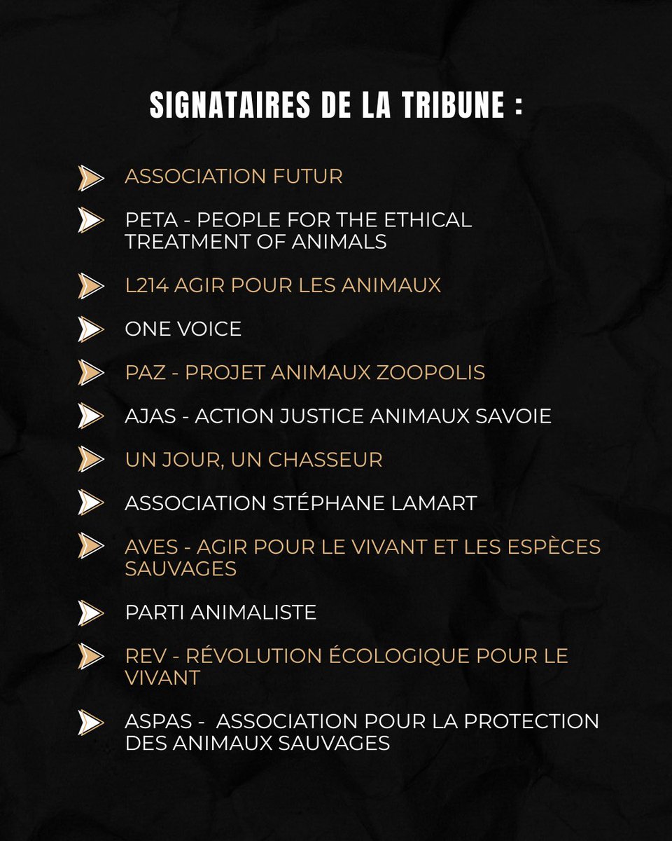 🔥 L’Aude vient d’être ravagée par les flammes. Pourtant, la chasse a repris "comme prévu", sans suspension ni plan de restauration. 
futur-asso.com/actions-et-p%C…
Nous, 12 associations et organisations, demandons l’arrêt immédiat de la chasse dans les zones sinistrées.