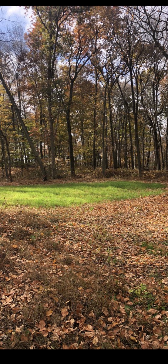 Happy first day of fall