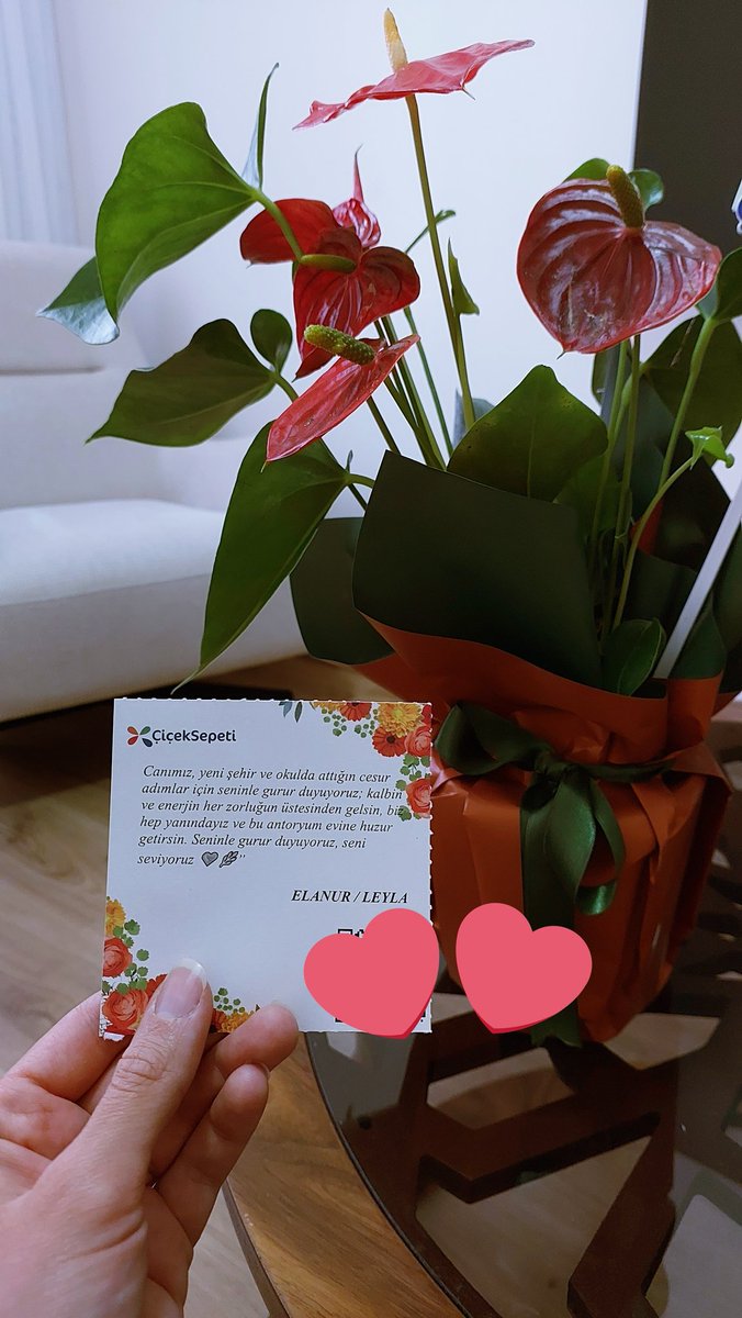 cansu_hellac's tweet photo. Okulumun manzarası şaka mı 😍 
İlk gün anısına ✨️ https://t.co/jHt51hxXIw