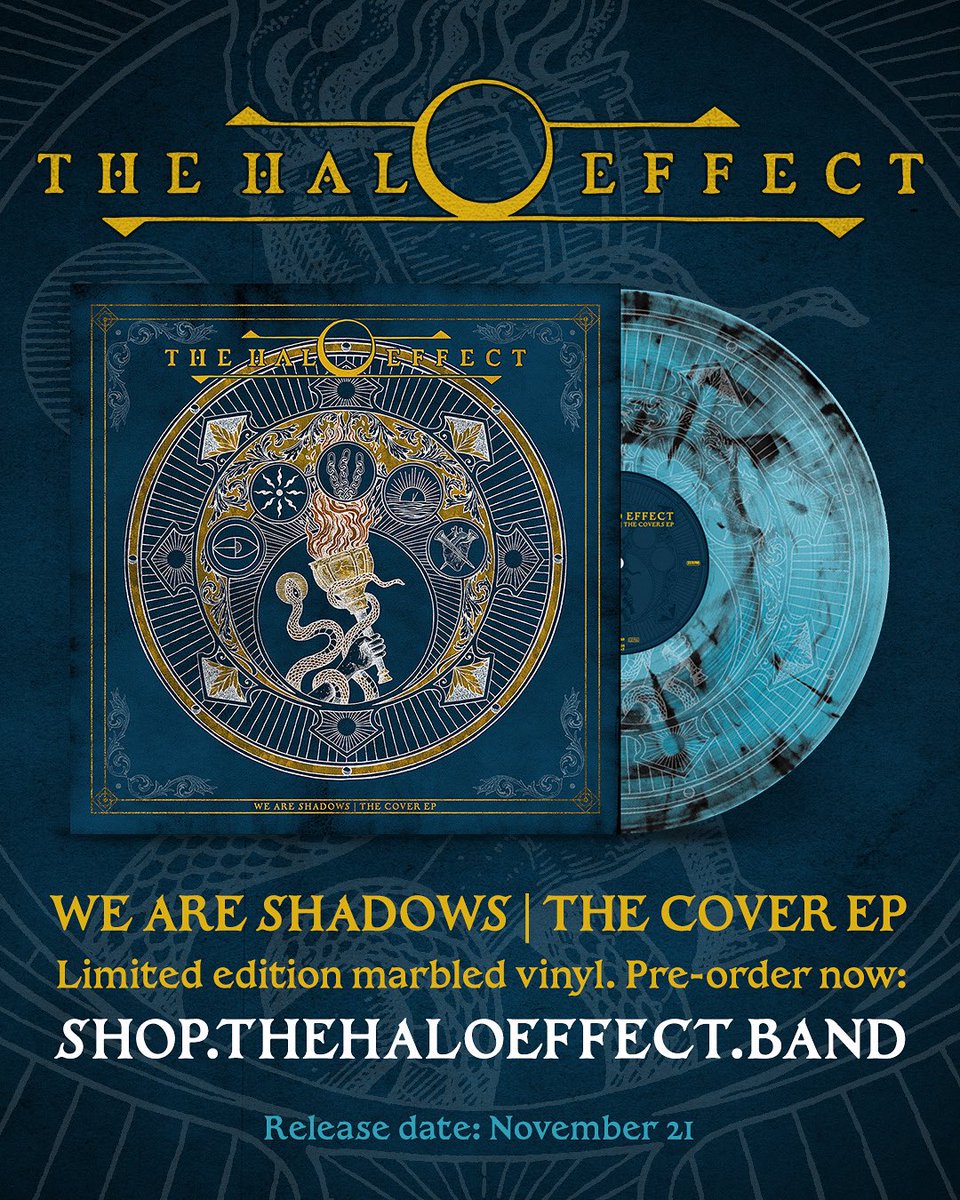 The Halo Effect tweet media