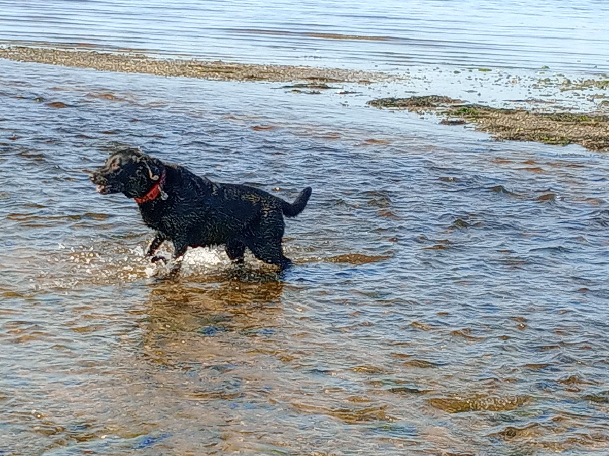 Kate Kivlichan tweet media