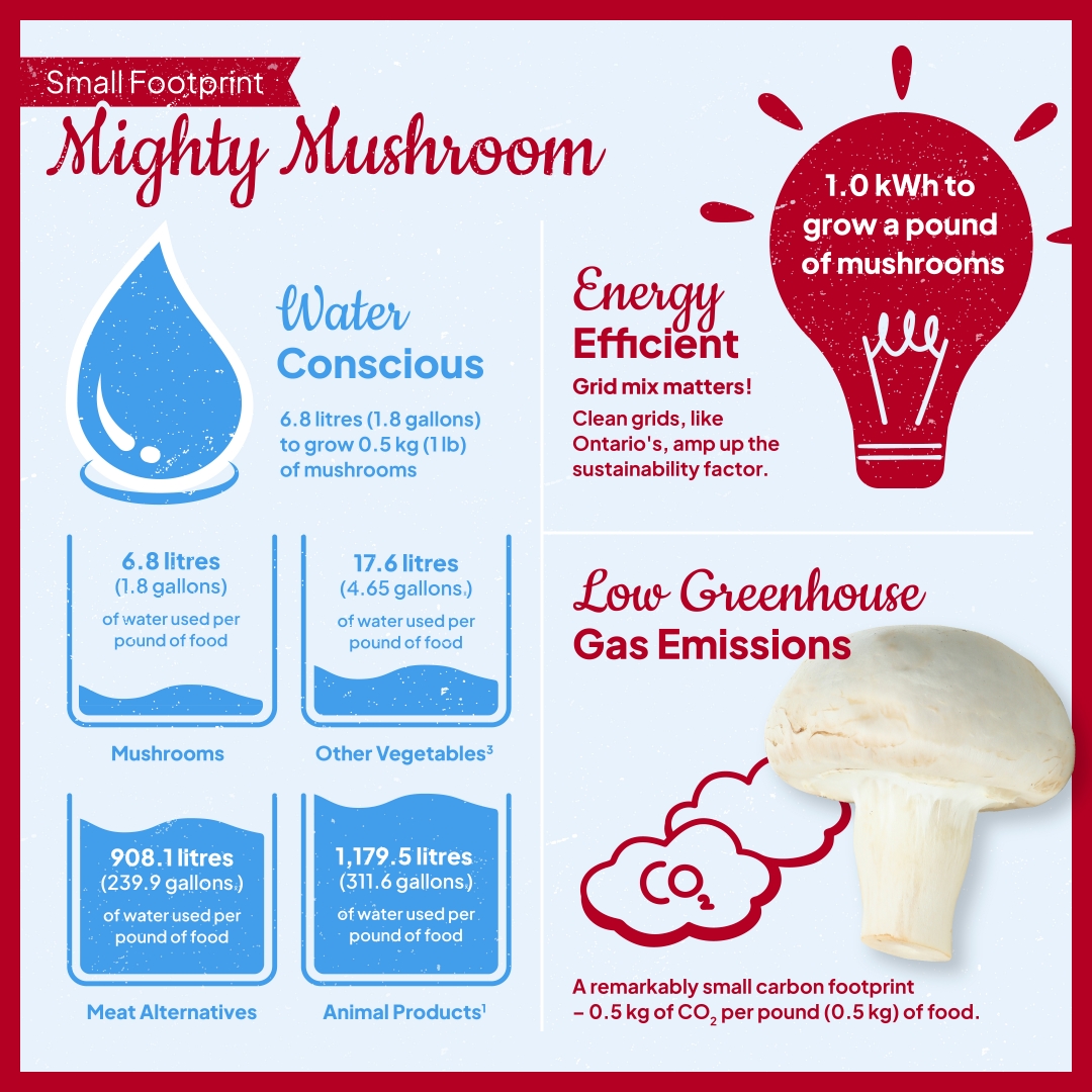 mushroomscanada's tweet image. Did you know mushrooms use minimal water and energy to grow? Only 6.8 litres (1.8 gallons) of water is used to grow 0.5 kg (1 lb) of mushrooms.

Mushrooms are also energy champs, using only 1.0 kilowatt-hours of electricity to power their growth.

mushrooms.ca/sustainability/
