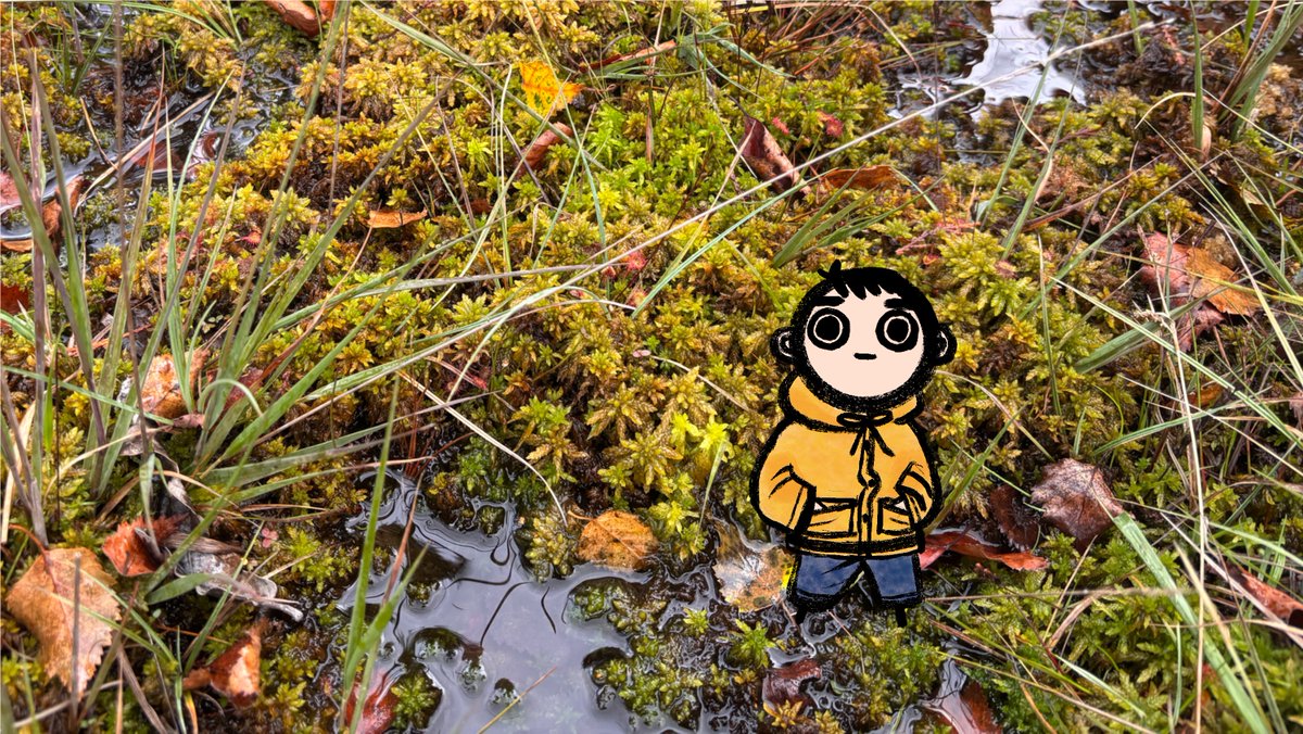 MONDAY KYUNGSOO TIME! HAPPY MONDAY HAPPY NEW WEEK! EVERYONE CAN NOW AGREE ABOUT THE SEASONS AS OF TODAY: SPRING IN THE SOUTHERN HEMISPHERE, AUTUMN IN THE NORTHERN HEMISPHERE. ON THIS OCCASION I ALSO WISH YOU A HAPPY NEW SEASON. I LOVE A GOOD MILESTONE, I’LL TELL YOU THAT MUCH.