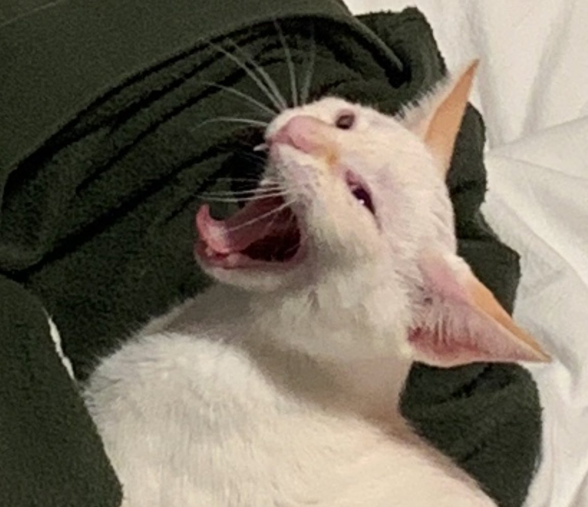 Crashed out of my first nats run in 5 rounds this year. 2-0 to 2-3 hurts for sure.

Lots of room to improve, it felt like the best chefs in the room won this year and that’s a part of my game I’m hoping to improve on in the months to come.

Back to the grind!