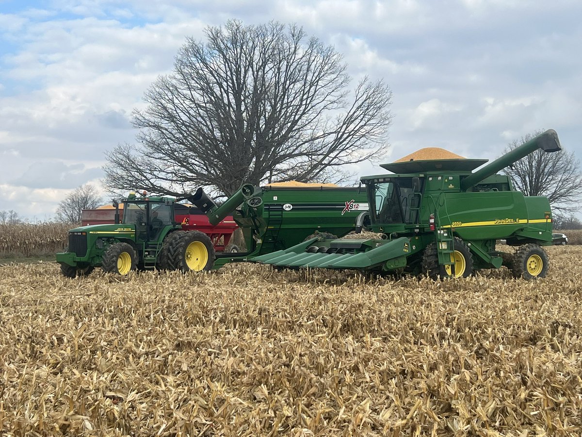 Graham Johnston tweet media