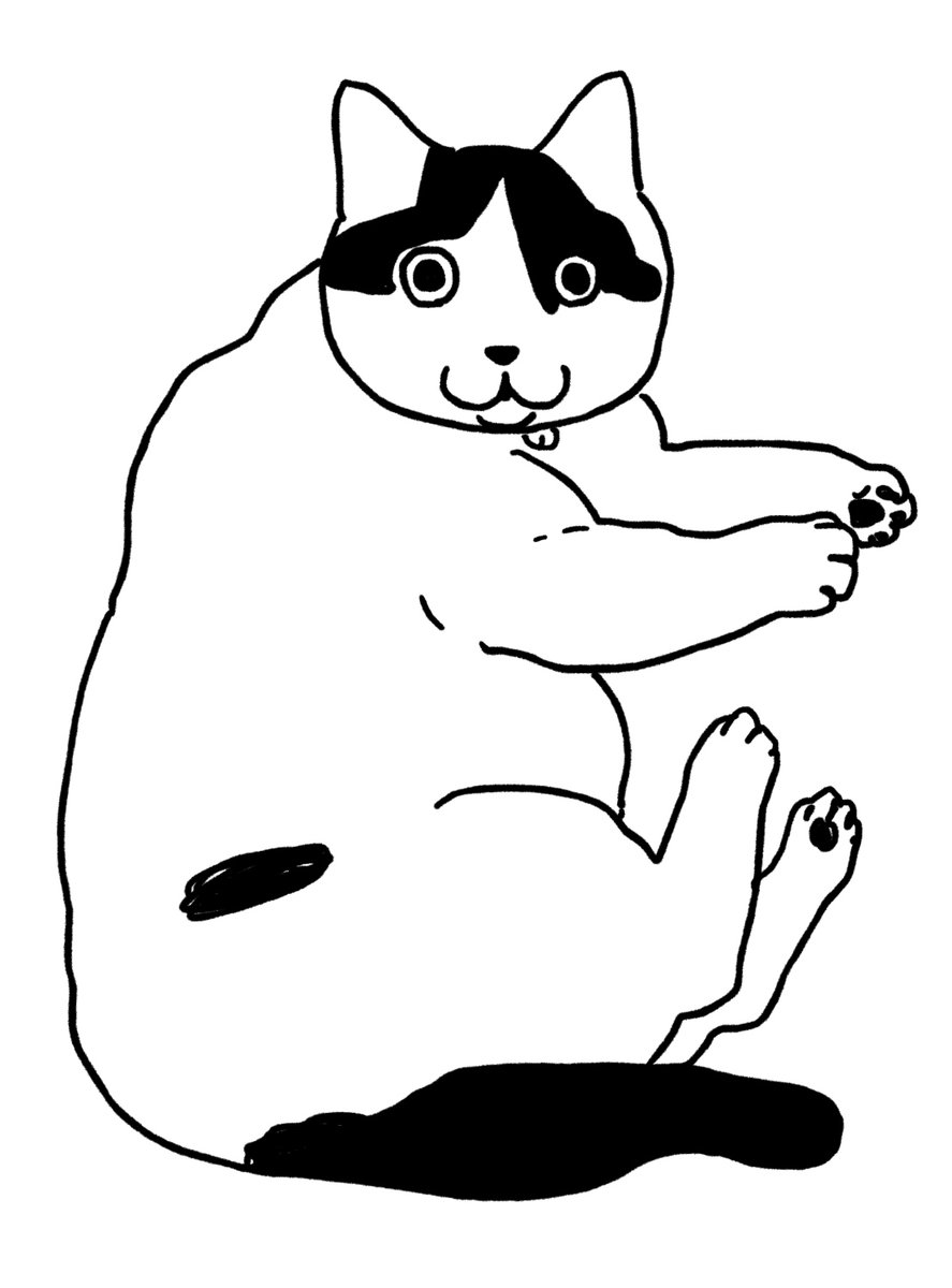 邑田 (@murata116) on Twitter photo 