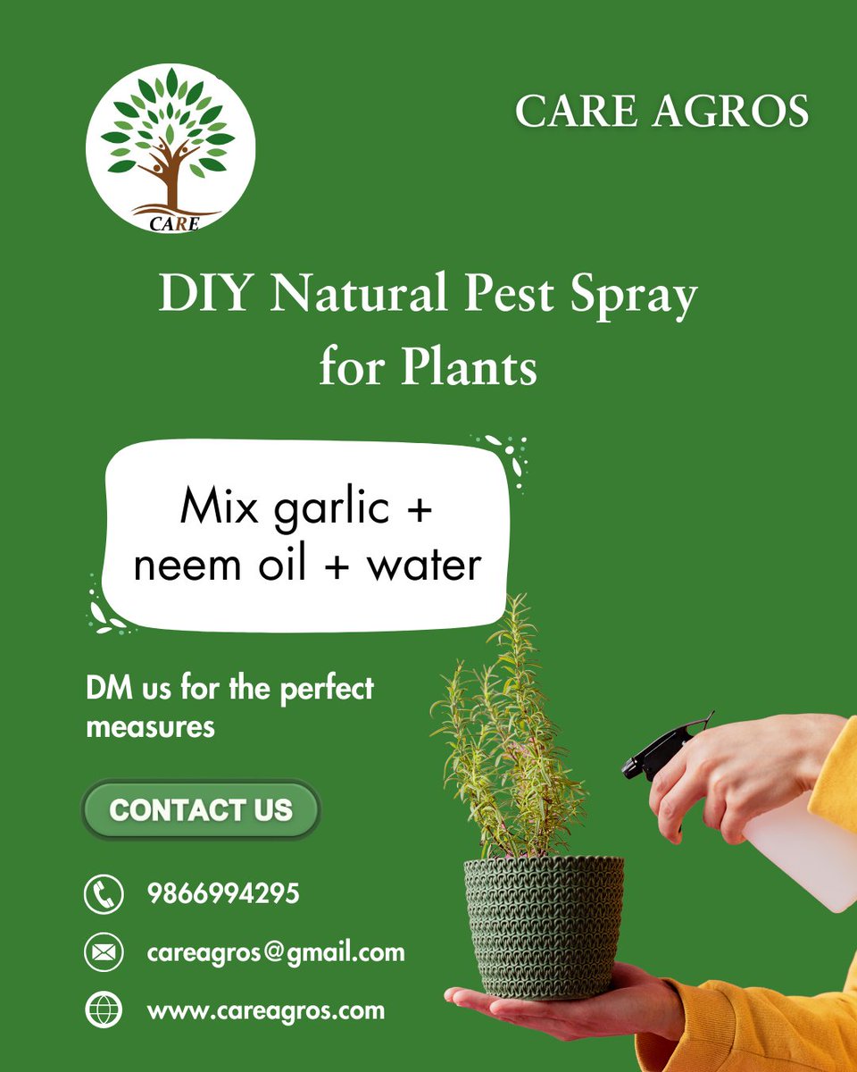 careagros123's tweet image. Keep pests away with this easy home-made spray – chemical-free & safe for plants.
Follow us for more natural farming hacks!
#NaturalPestControl #OrganicFarming #GardenHacks #EcoSolutions #SustainableAgri #CropCare
