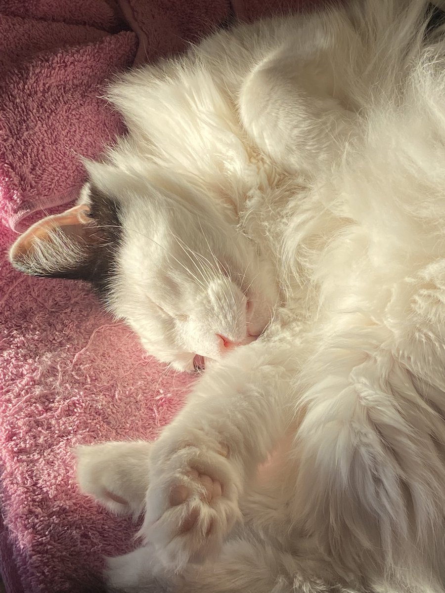 Mili 💚 tweet media