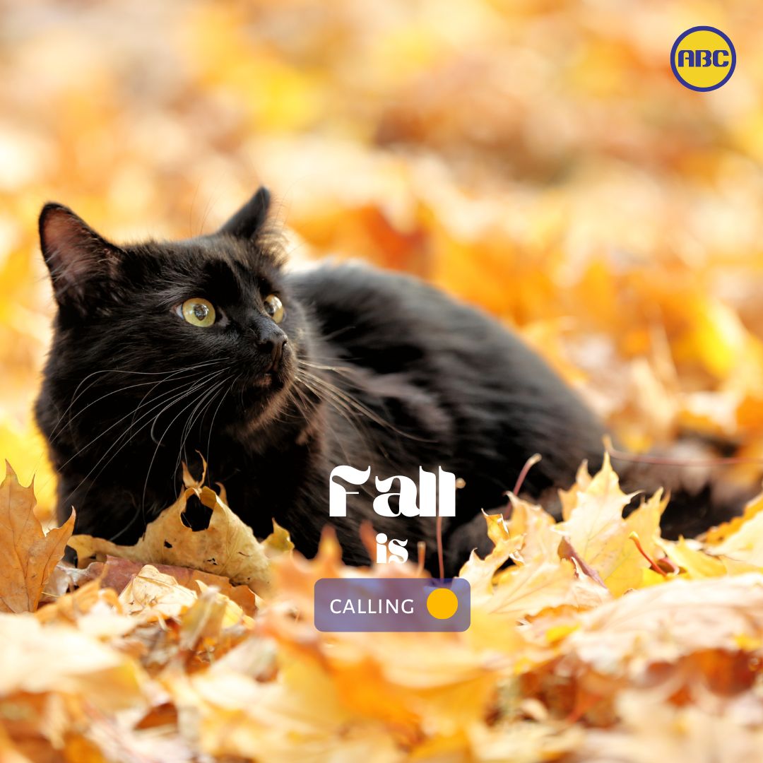 Animal Behavior College tweet media