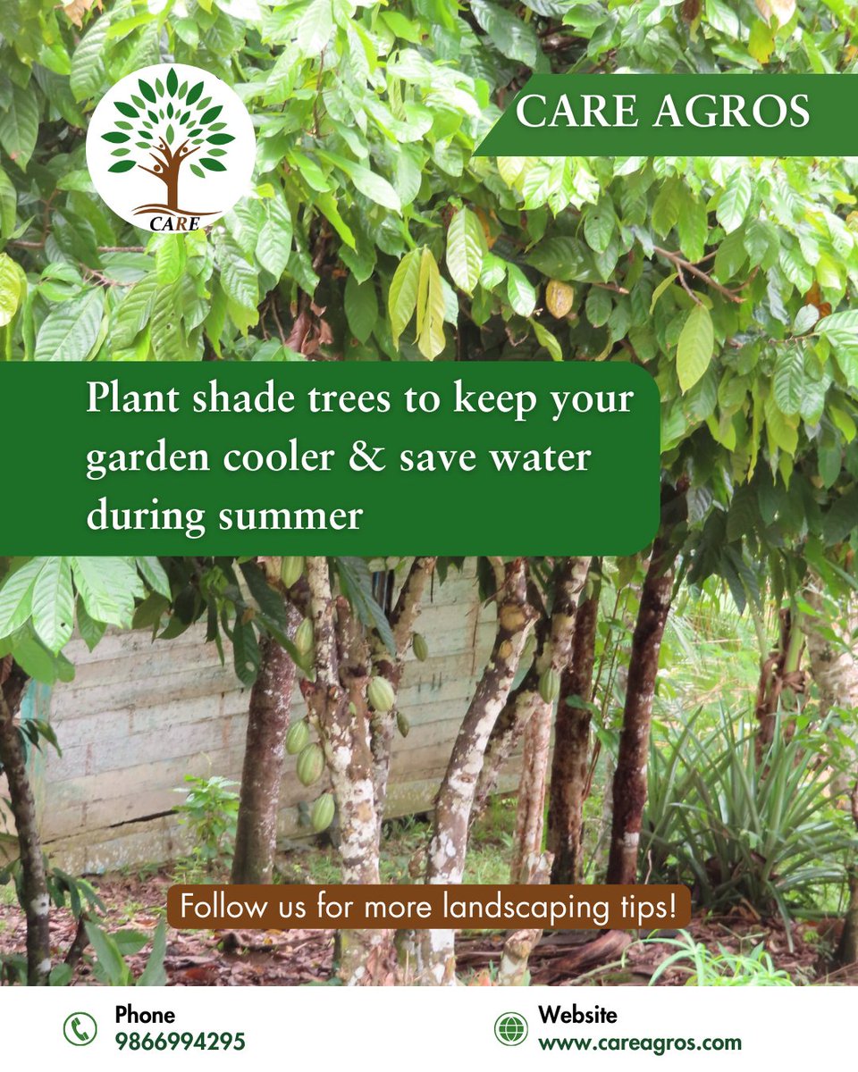 careagros123's tweet image. Smarter landscaping = healthier plants + water savings! Shade trees protect your garden naturally.

Follow us for more landscape tips!

#LandscapeTips #SustainableGardens #WaterSaving #GardenCare #EcoLandscaping #GreenSpaces