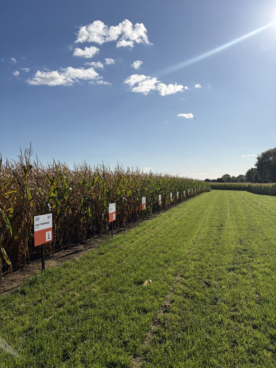 Ryan Hyden tweet media