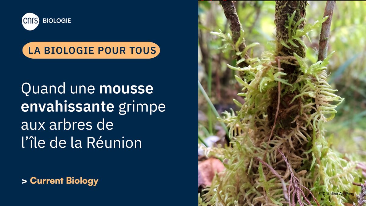 CNRS Biologie tweet media