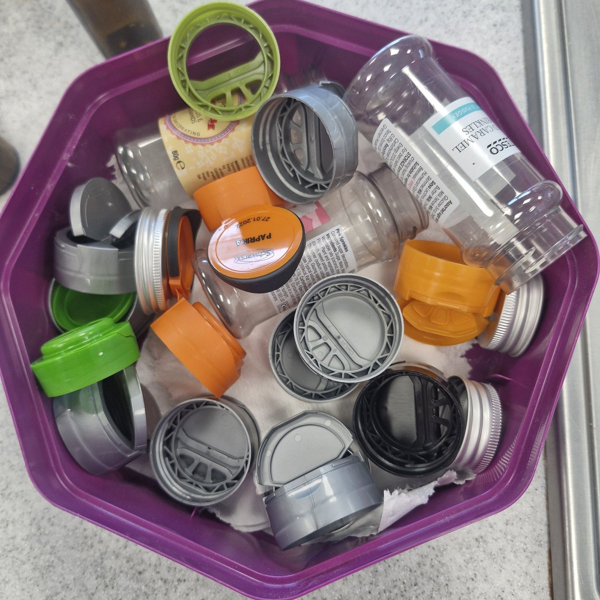 WCS Learner Development Sustainability tweet media