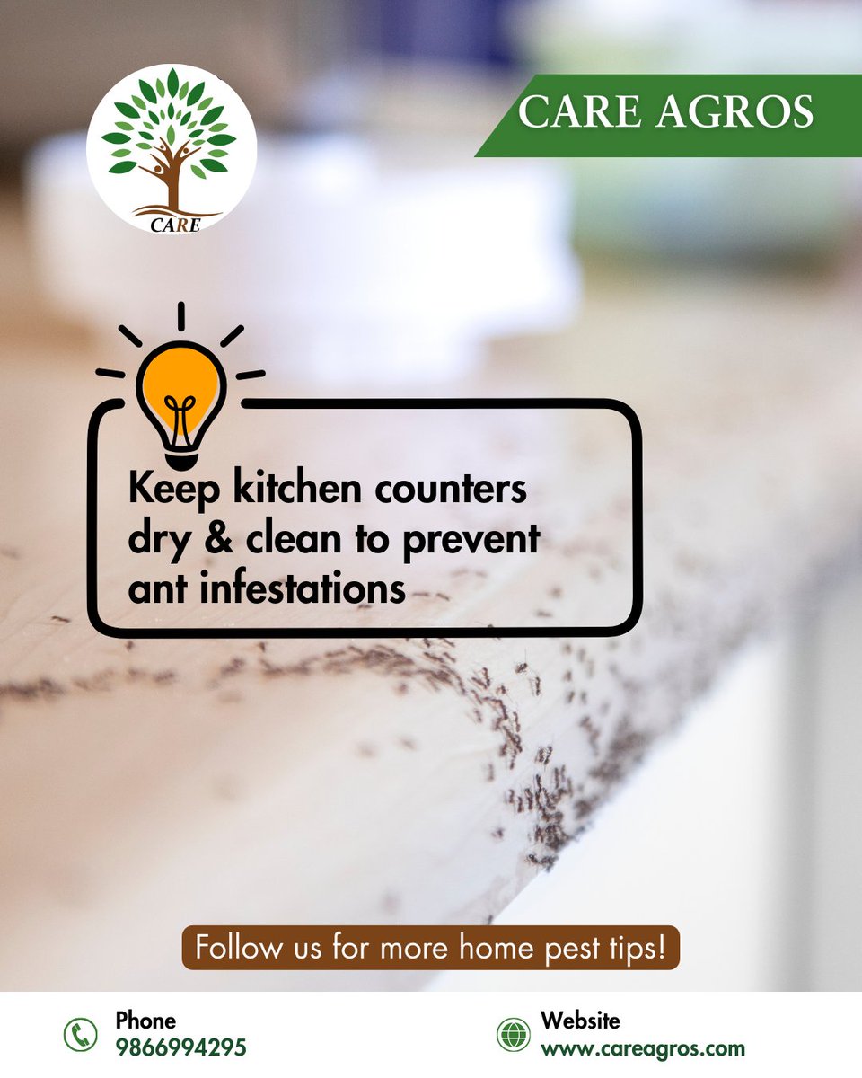 careagros123's tweet image. Ants hate cleanliness! A simple habit can save your home from infestations.
Follow us for more home pest tips!
#PestPrevention #AntControl #CleanHomes #HealthyLiving #PestTips #HygieneFirst