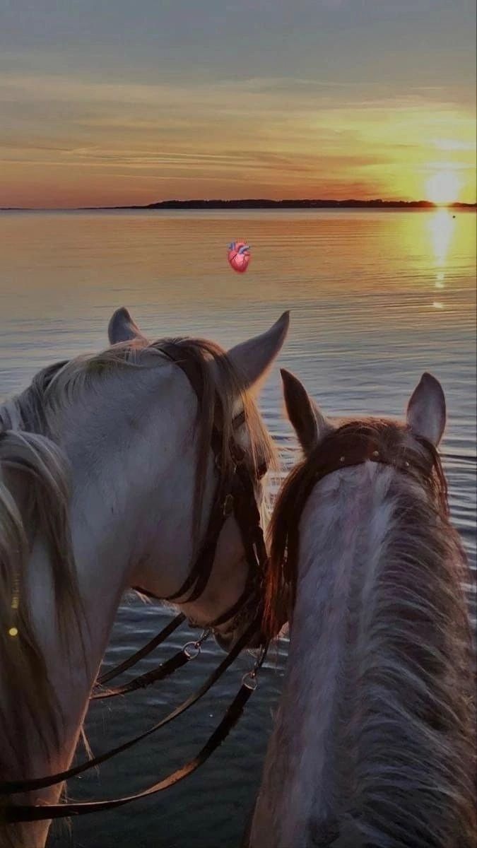 Şöyle bir manzara..