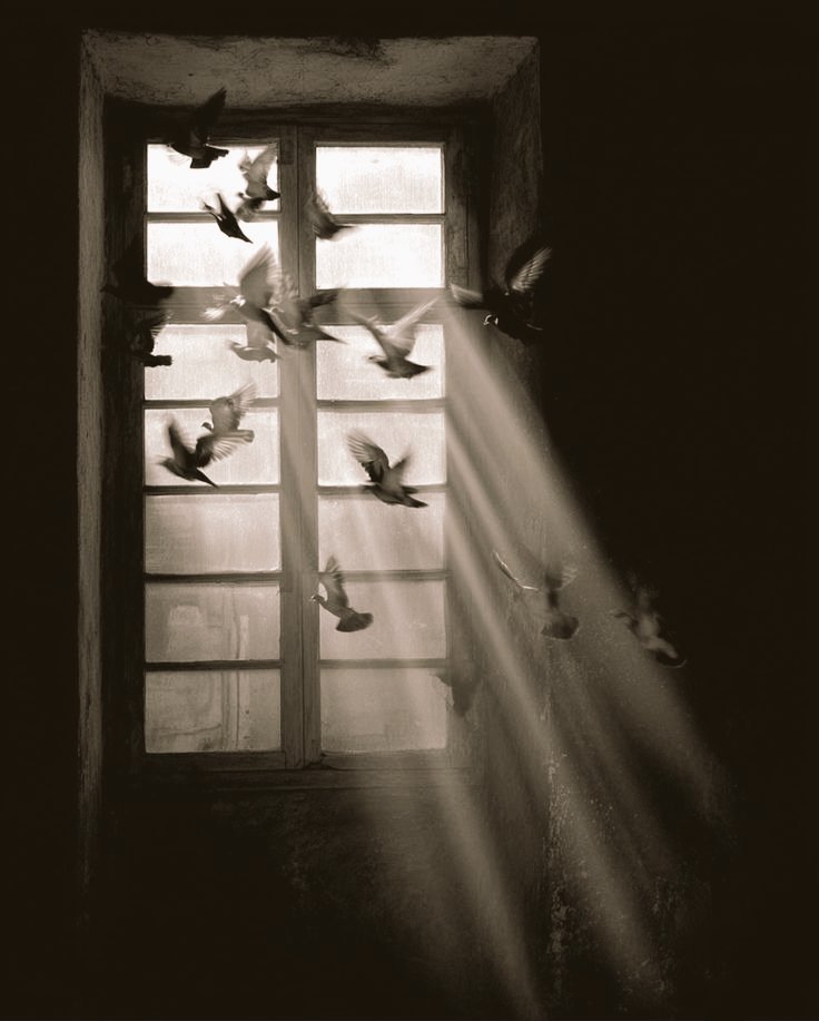 Vakti gelince herkes,
Hikâyenin bir kenarında,
Bir Anı olarak kalıyor