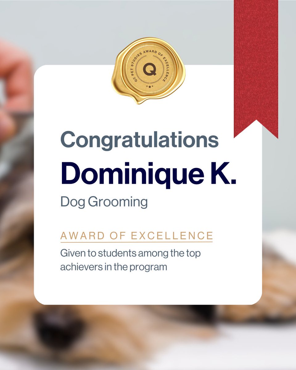 Congrats to this week’s Award of Excellence recipients! 🏆️This honor is reserved for QC students who earn an A- or higher in their course work! 👏

Start YOUR dream career with dogs today: 
🐶 tinyurl.com/2kun9pf5

#QCPetStudies #DogGrooming #DogTraining