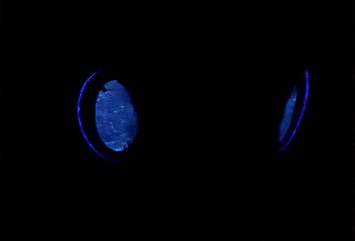 DeterminStudios's tweet photo. How about some pretty glowing eyes? And a bright star on the back to follow. https://t.co/HKlBz0nizp