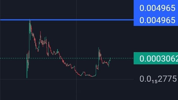 DopeSpittinDuck's tweet image. @NeoMatrixTON has been hibernating for a while. But ull look back in few months and be stoked of how early you were for this blue chip. 

AND IF PAVEL WAS MODERN DAY NEO ?