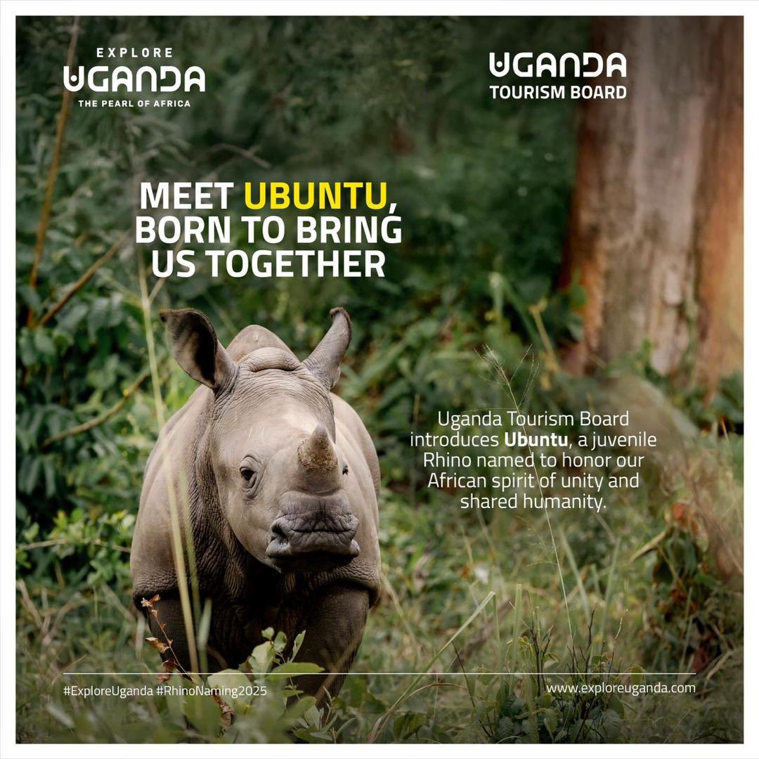 World Rhino Day 

What better way to celebrate one of nature's most magnificent creations than with a Naming Ceremony! Today we were joined by members of the diplomatic corps, tourism sector players, traditional leaders and friends of the Rhino who travelled from within and