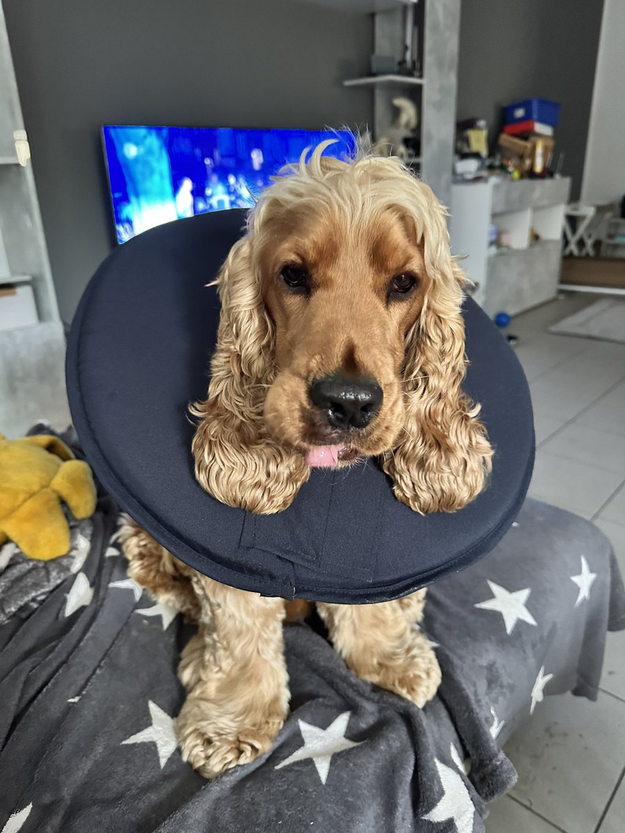 Wenn die Woche schon soooo anfängt 🙄😩